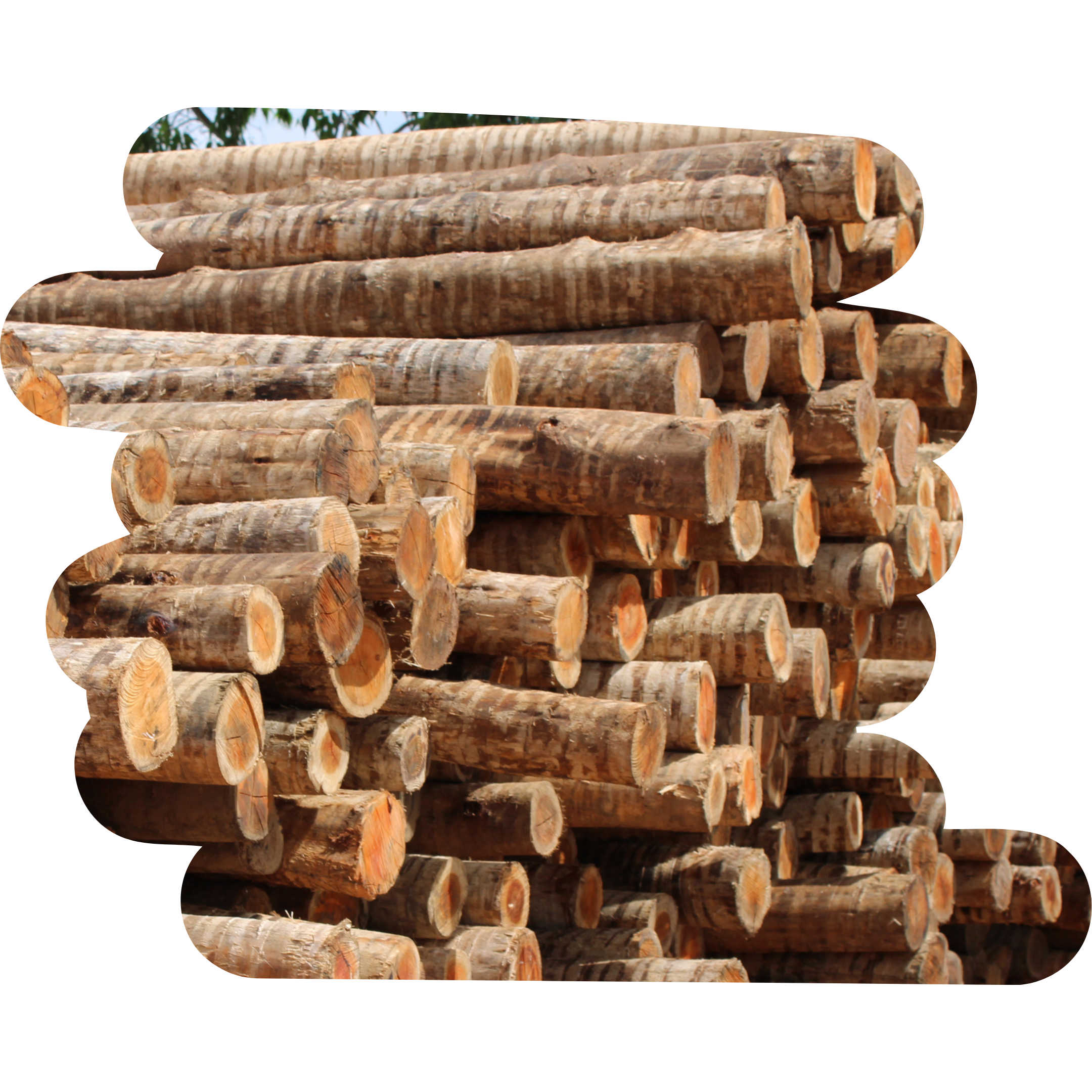 Produto 08a10x220