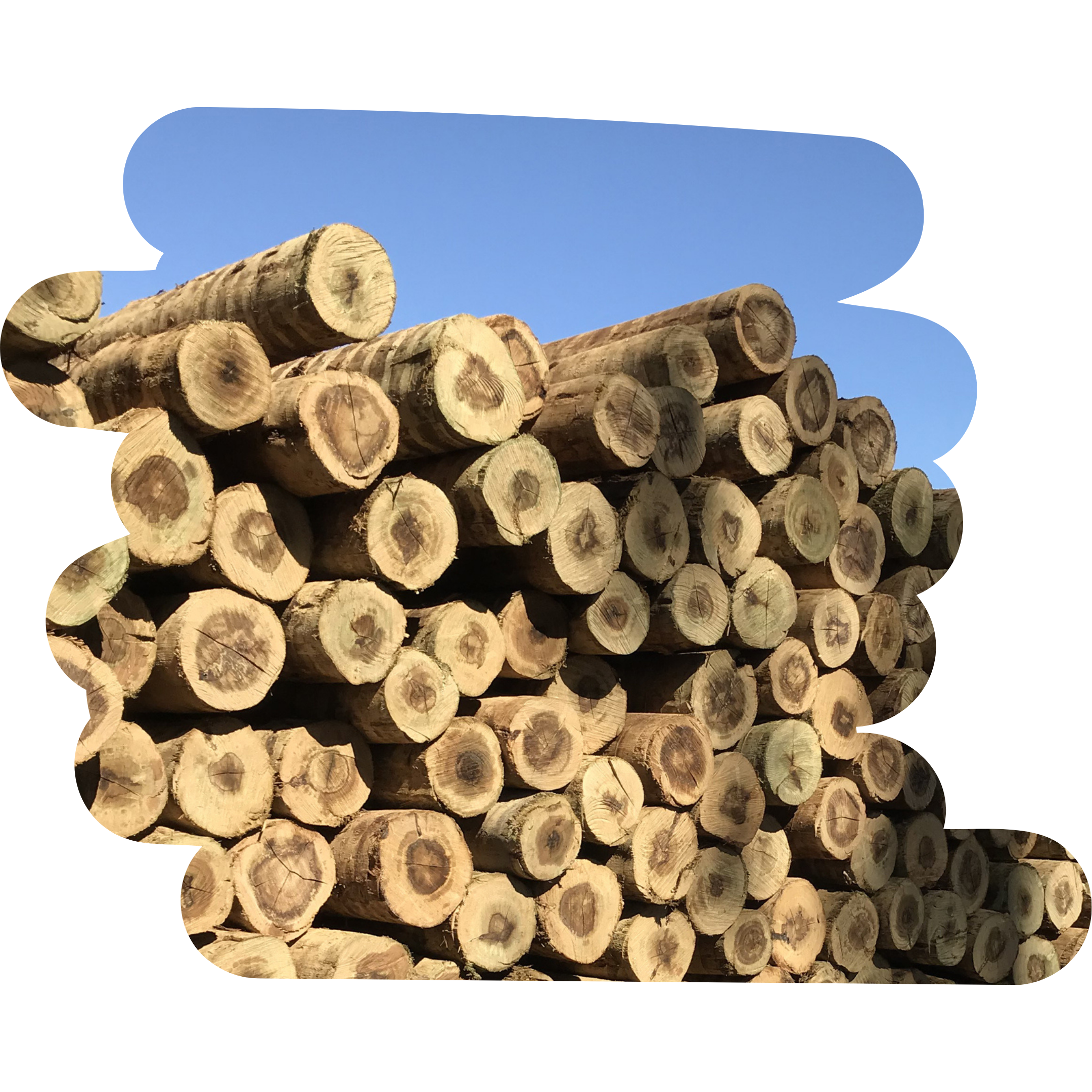 Produto 10a12x220